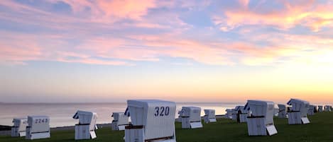 A row of numbered beach chairs on a grassy area with a view of the sea and a sunset sky.