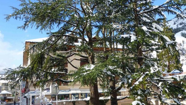A building with snow-covered trees and a clear sky.