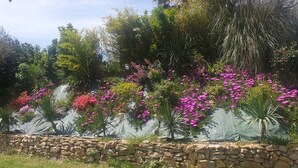 A garden with various plants and flowers, a stone wall, and a backdrop of trees and shrubs. - Superb luxury villa rental with heated pool (Le Castellet)
