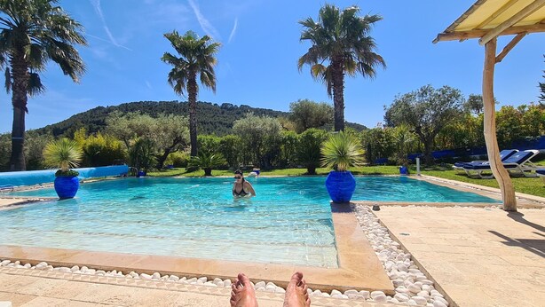A pool area with lounge chairs and palm trees. - Superb luxury villa rental with heated pool (Le Castellet)