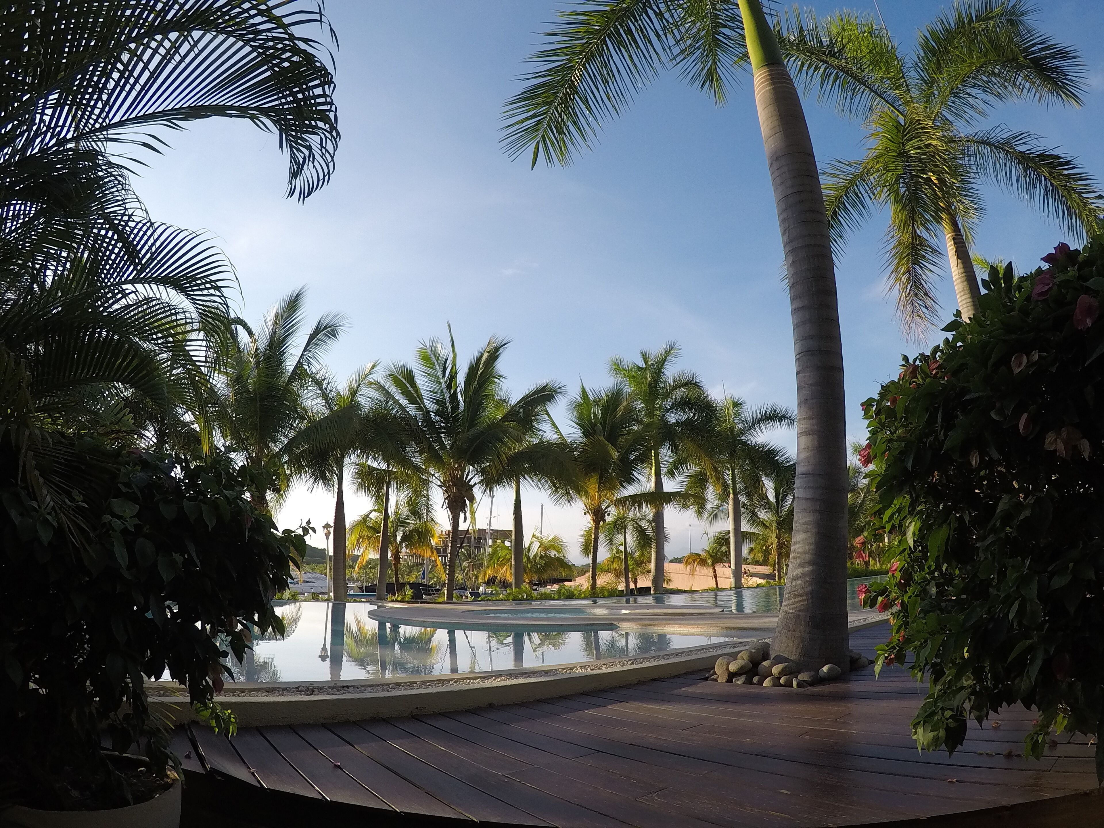 Une piscine entourée de palmiers et bordée d’une terrasse en bois.