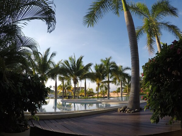 A pool area surrounded by palm trees and a wooden deck.
