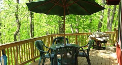 "Hot Tub Heaven Cabin # 1 - Mökit vuokrattavaksi in Linden, Virginia