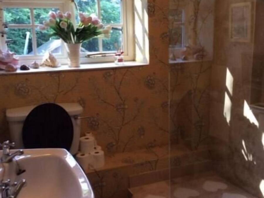 A bathroom with a sink, toilet, and shower. There is a window with flowers on the windowsill.