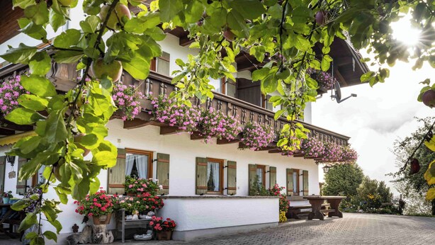 A traditional chalet with a balcony adorned with hanging flowers, a stone bench, and potted plants in front. - Apartment Jenner, 2 persons, balcony, quiet location, 45 sqm (Schönau am Königssee)