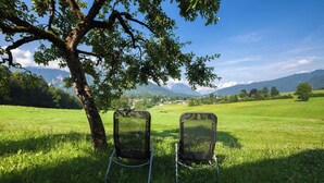 Two chairs under a tree in a grassy field with a mountain view. - Apartment Jenner, 2 persons, balcony, quiet location, 45 sqm (Schönau am Königssee)