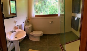 Hair dryer, towels, soap, shampoo