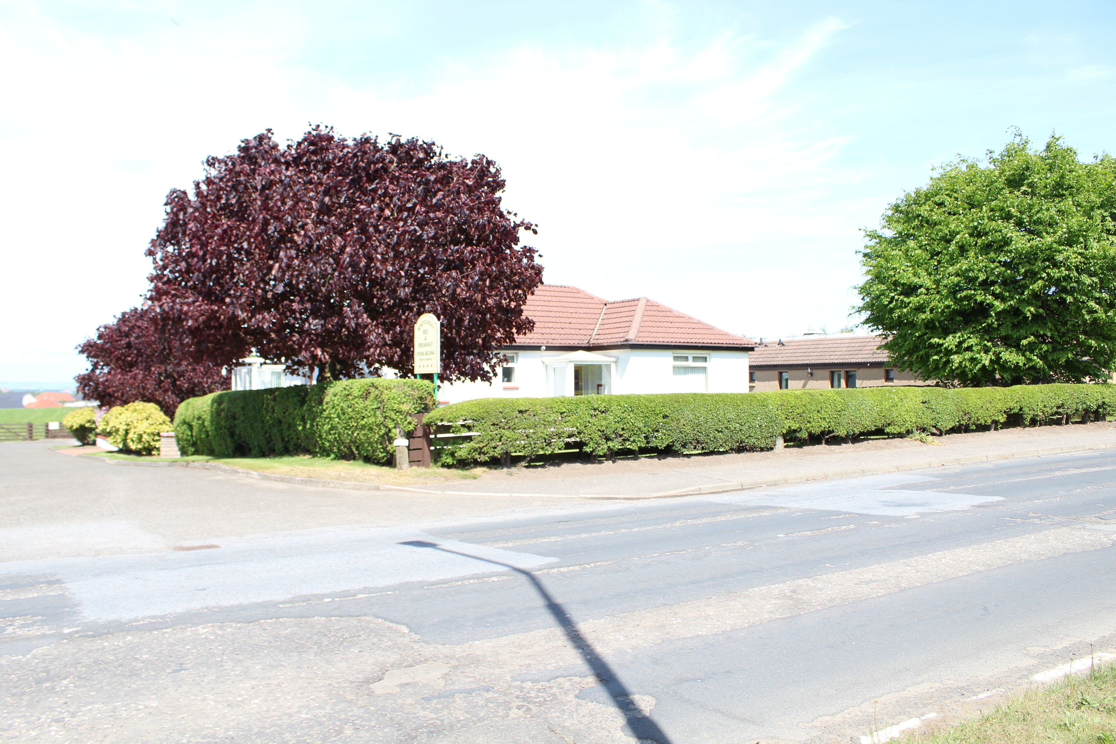 A residential street with a house, a large tree, and a well-maintained lawn.