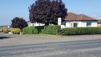 A residential street with a house, a large tree, and a clear sky.
