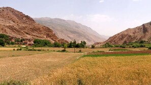 A rural landscape with terraced fields, a village with traditional houses, and mountains in the background. - Gite Paradis d'Ait Bouguemez - Hostel (Tabant)