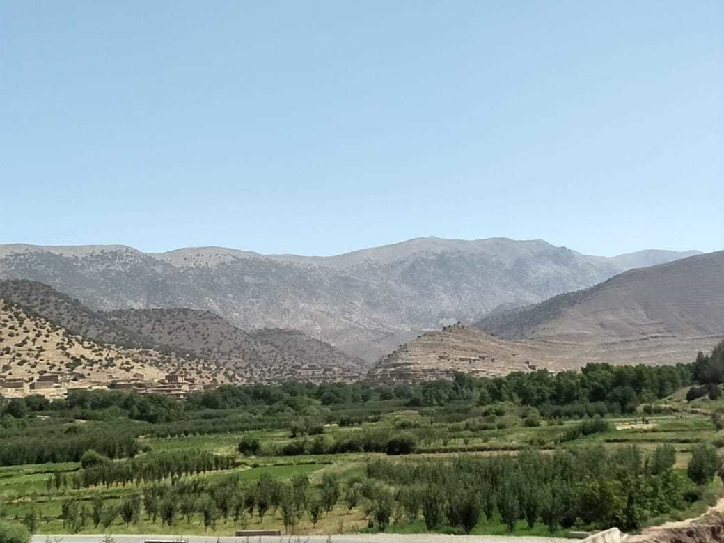 Un paisaje montañoso con campos verdes y vegetación escasa.