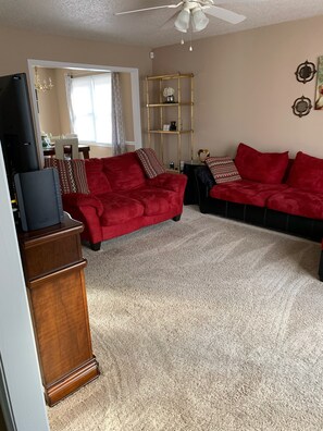 Smart TV, fireplace, books, stereo