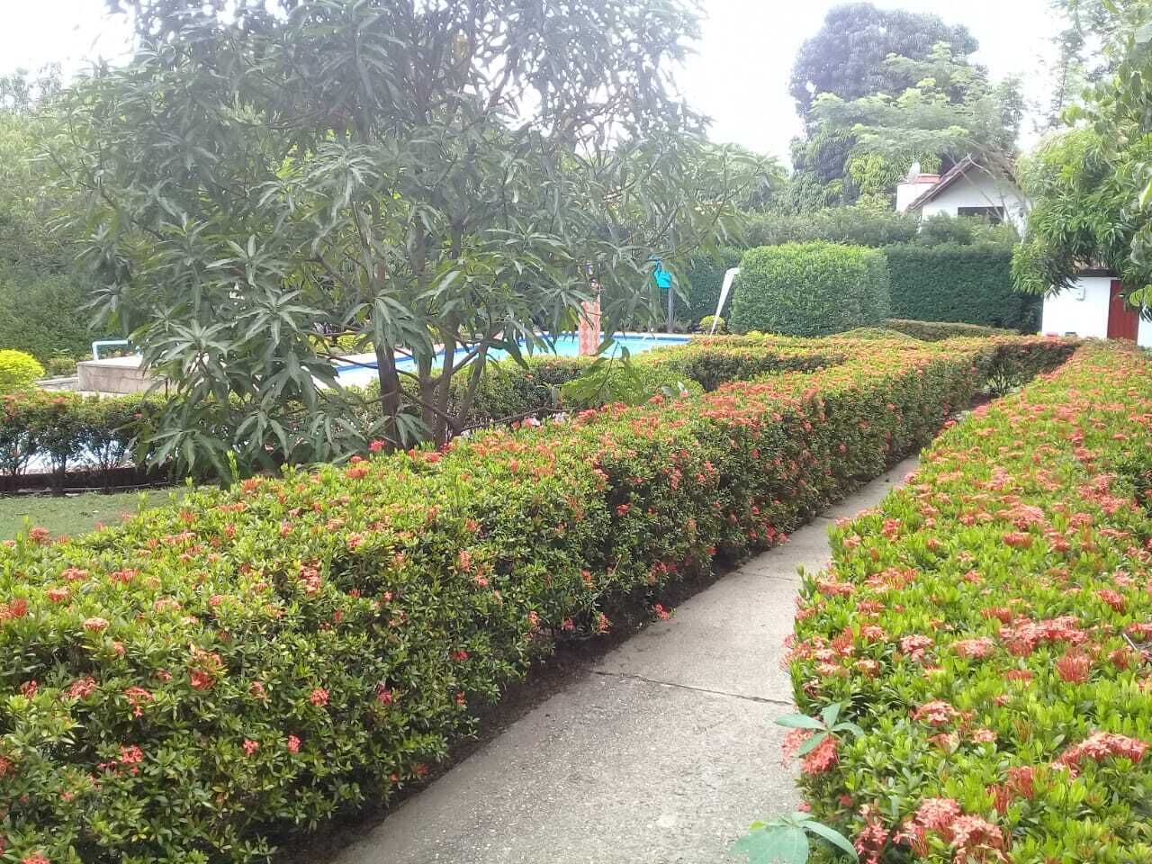 Áreas de la propiedad