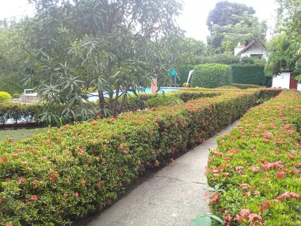 Enceinte de l’hébergement