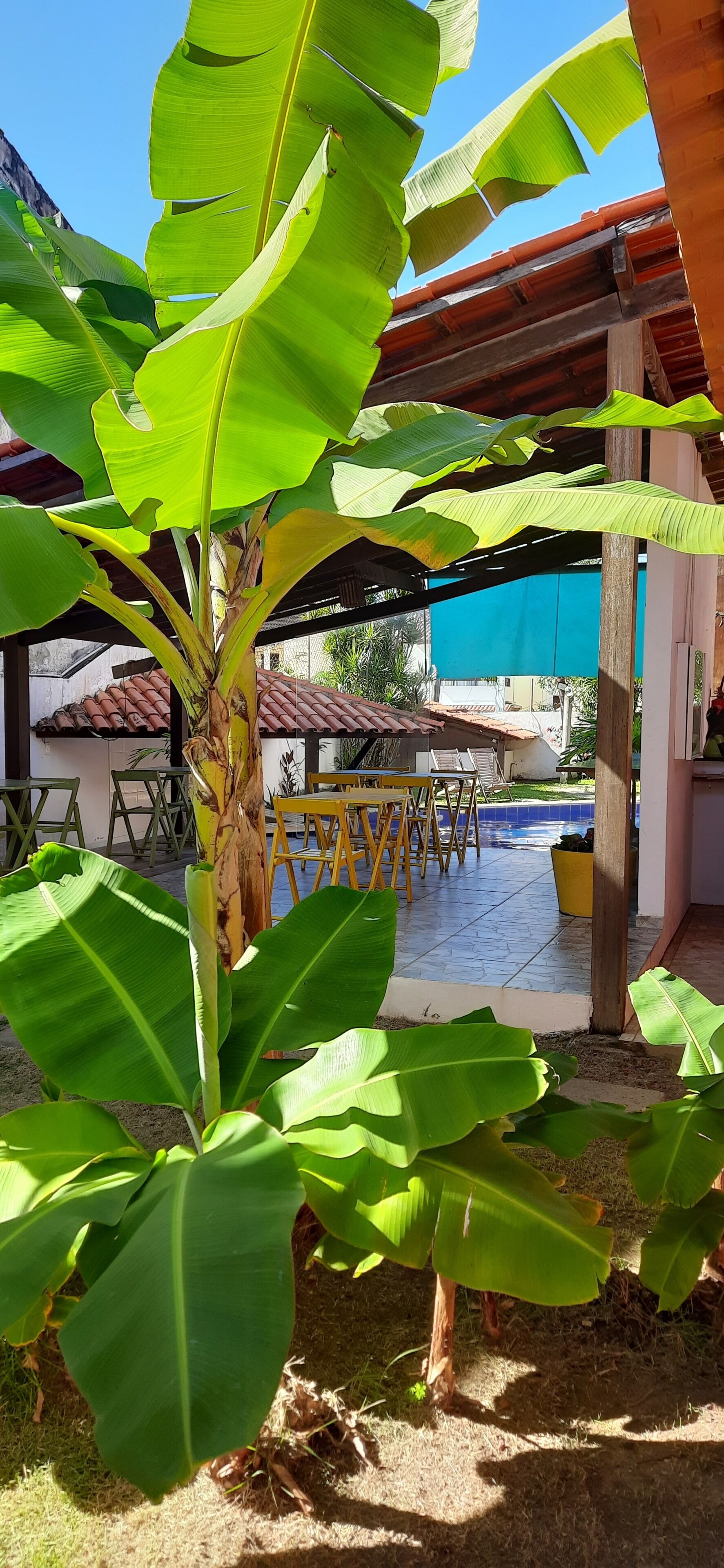 Foto - Villa Tropicale