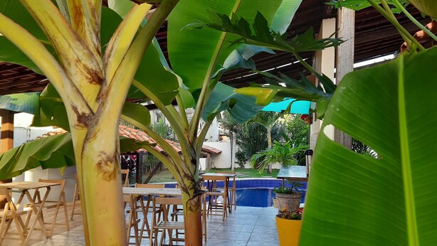 A patio area with tables and chairs, surrounded by large banana leaves. - Pousada Villa Tropicale (Salvador)