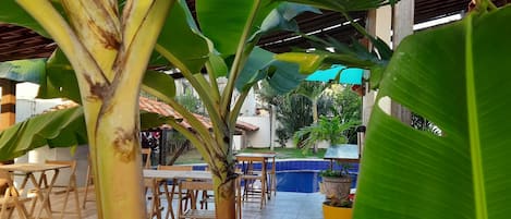 Desayuno buffet incluido todos los días