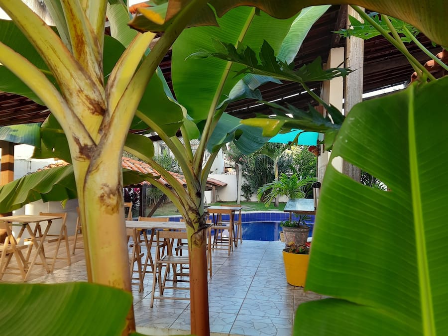 Desayuno bufé gratuito y diario