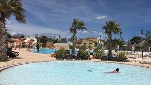 Una piscina con sillas de descanso y palmeras.