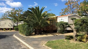 Un barrio residencial con un camino pavimentado, una palmera y una casa con techo rojo.