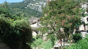 Un estrecho sendero de piedra bordeado por abundante vegetación y edificios tradicionales con ventanas y puertas visibles.