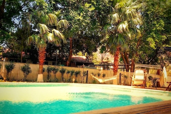 Outdoor pool, sun loungers