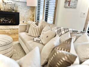 TV connectée, cheminée, lecteur de DVD, livres