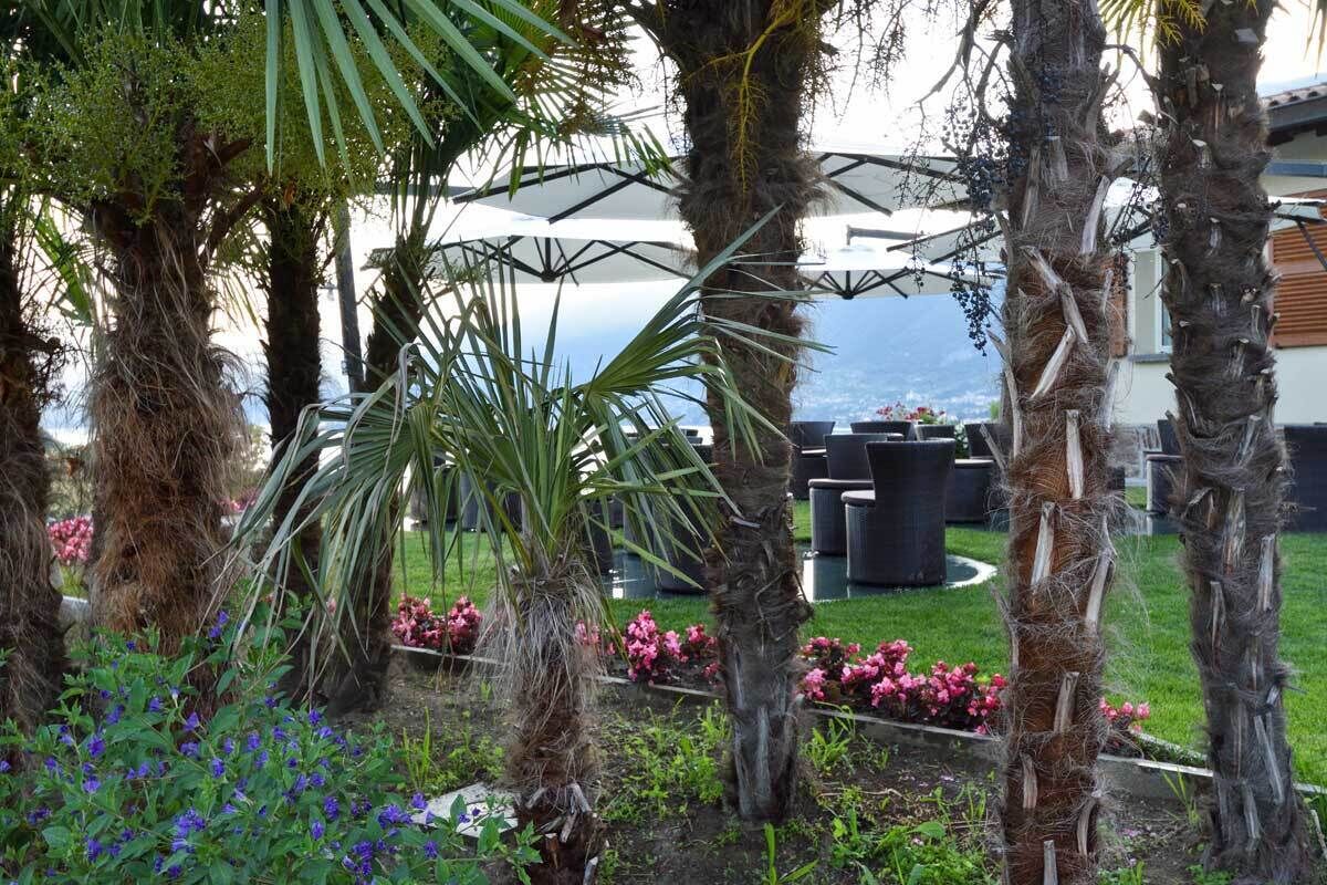A garden with palm trees, a pool, and outdoor furniture.