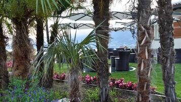 A garden with palm trees, a pool, and outdoor furniture.