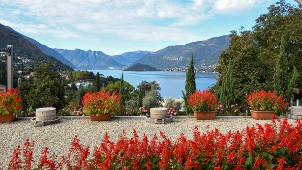A scenic outdoor area with a lake view, potted plants, and a stone bench. - Agriturismo Il Colle (Bellagio)