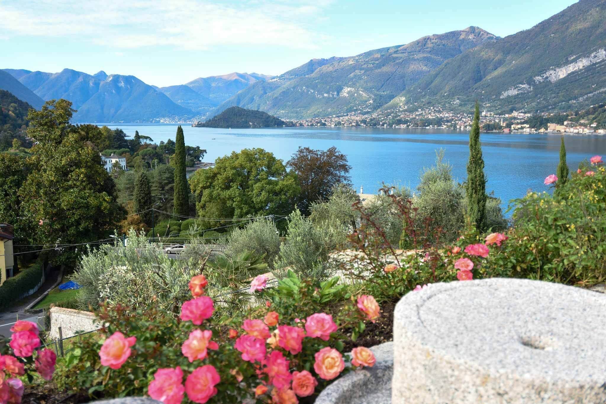 A mountainous landscape with a lake, surrounded by greenery and flowers.