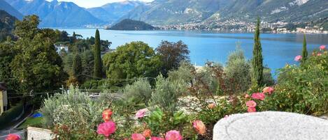 A mountainous landscape with a lake, surrounded by greenery and flowers.