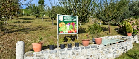 A stone wall with potted plants and a sign about agriturismo.