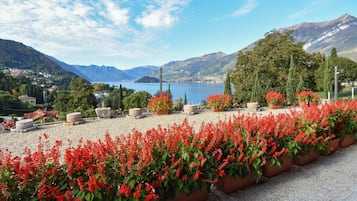 Una vista panoramica su un lago, con montagne sullo sfondo, circondato da piante fiorite di colore rosso e alberi.