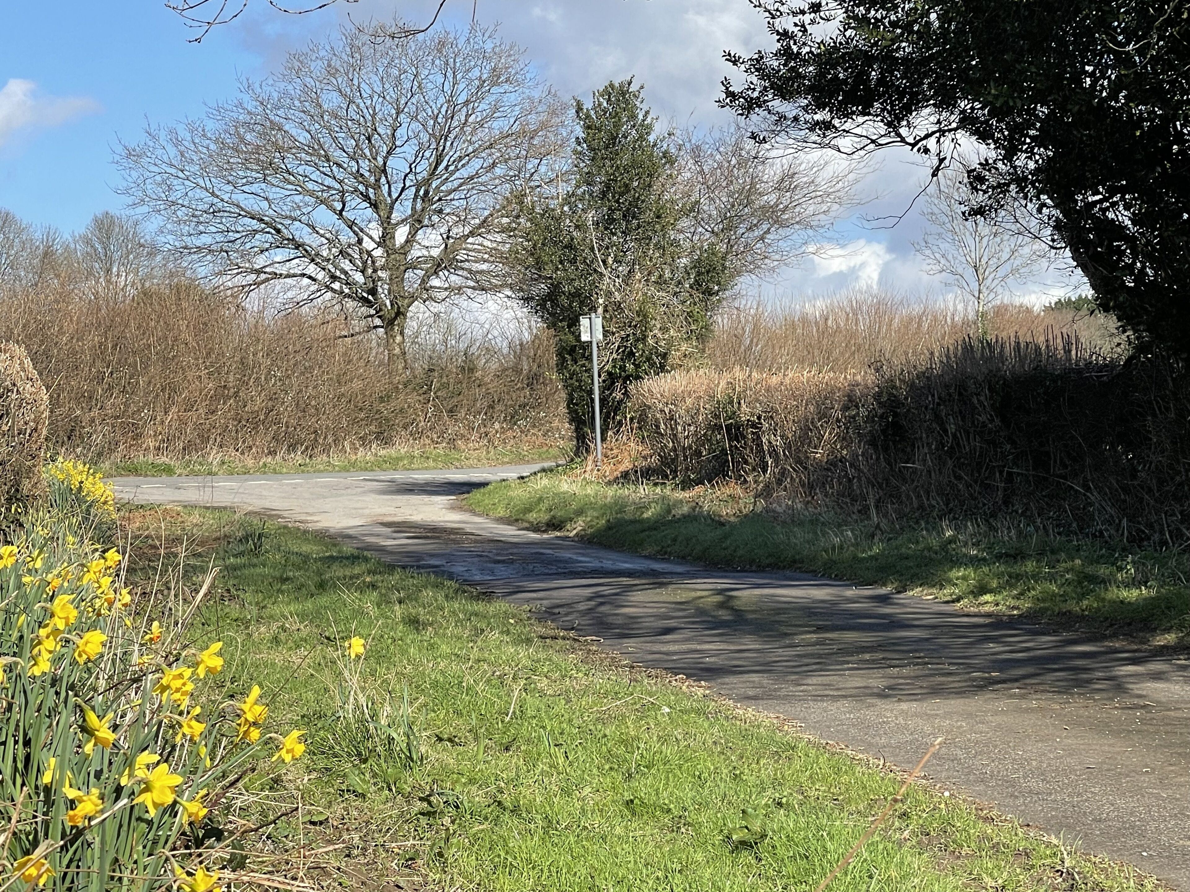 A rural road with a curve, surrounded by greenery and a clear sky.