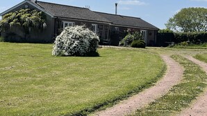 Ein Haus mit befestigter Auffahrt, Rasen und einem großen Busch.