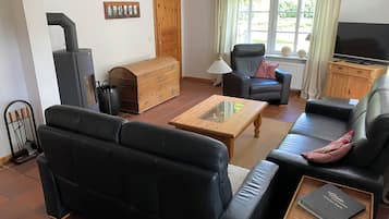 Télévision, cheminée, livres, chaîne hi-fi