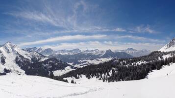 Wintersport/Ski