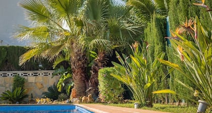 Luxury Villa Inge 400 Beach large garden, private pool, air conditioning, BBQ, terrace, WLAN, whirlpool