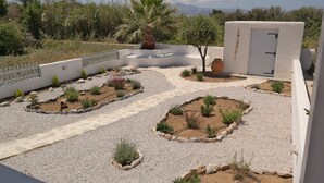A landscaped garden with a palm tree, a white door, and a white fence.
