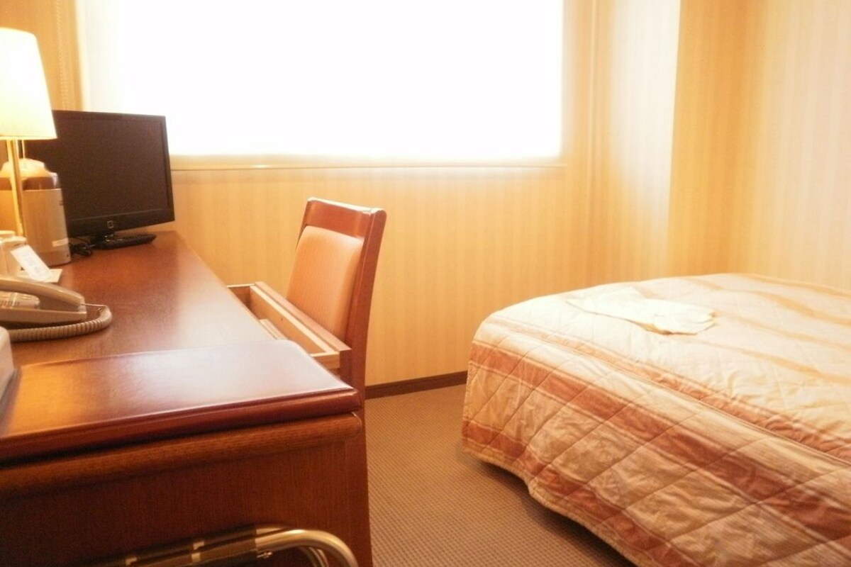 A hotel room with a desk, chair, bed, and a television.