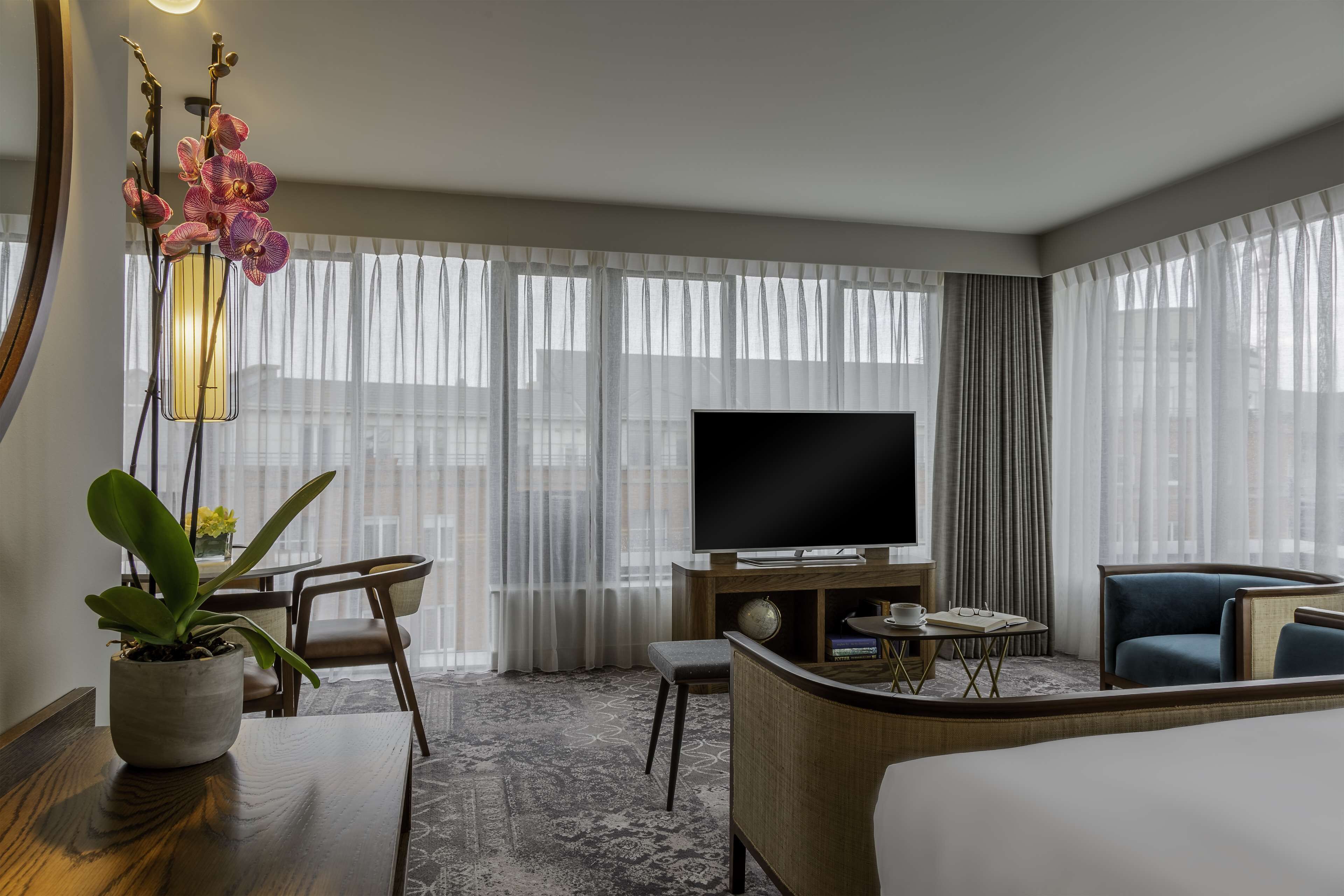 Habitación de hotel con cama, televisor, escritorio con silla, sofá y planta en maceta.