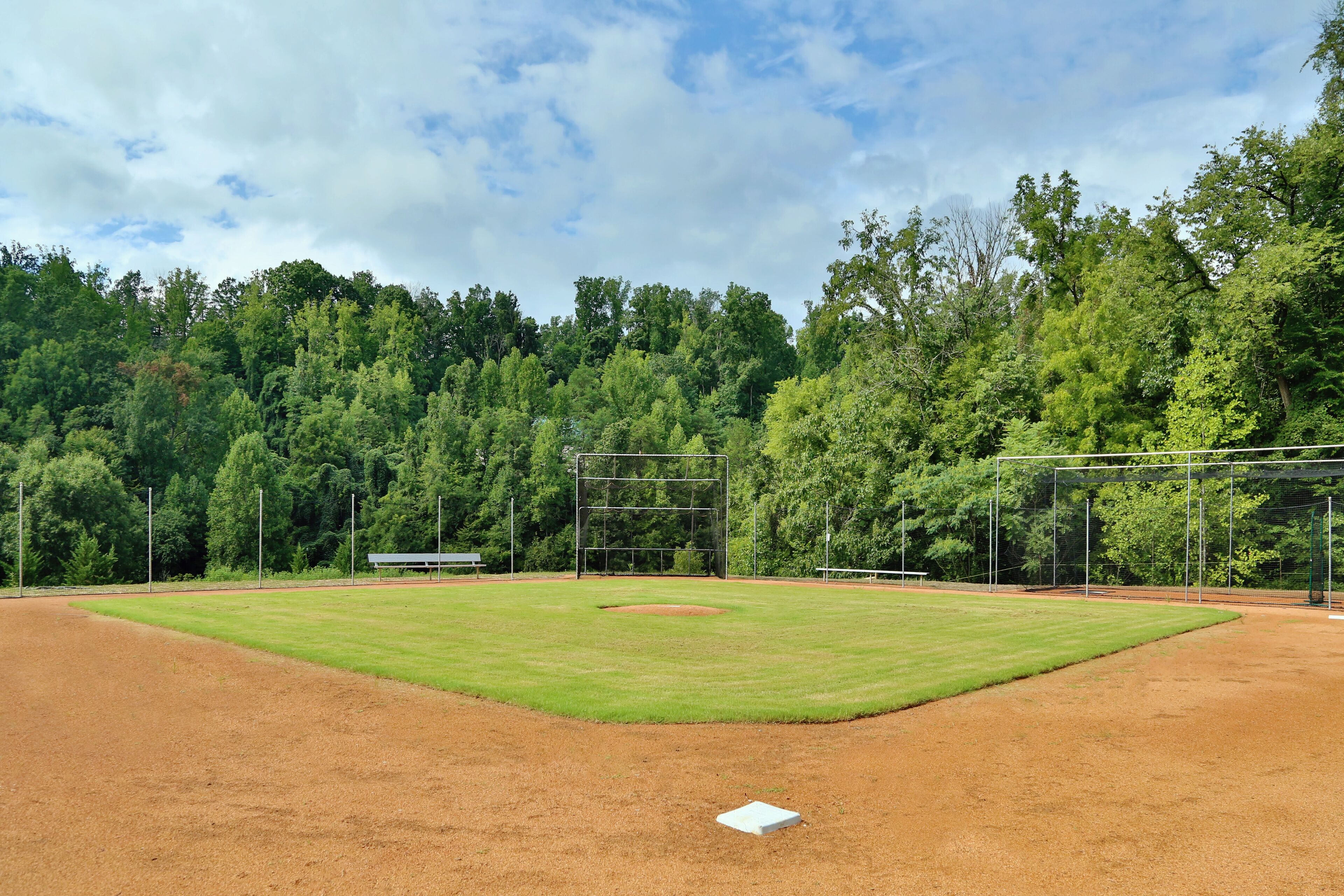 A baseball field with a clear sky, surrounded by dense trees.