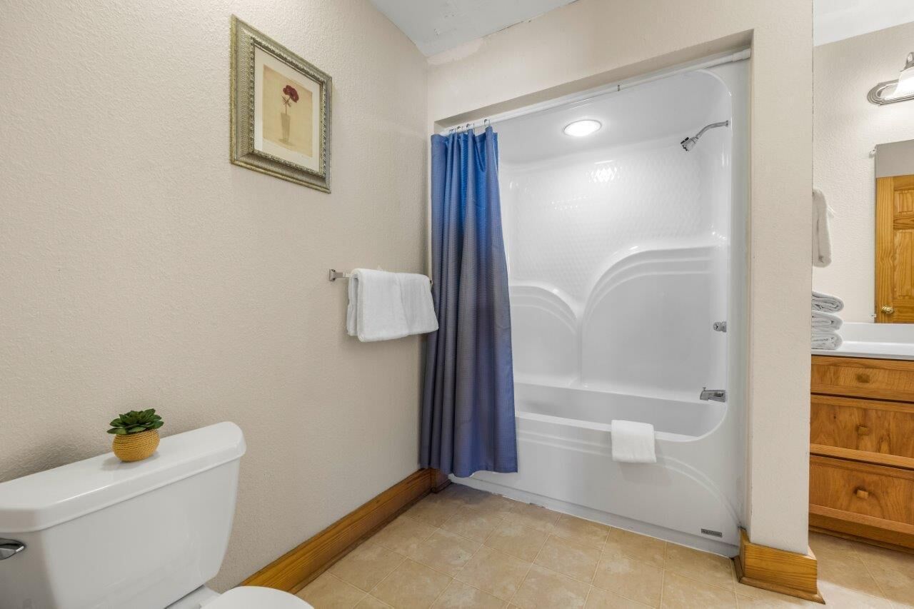 Un bagno con il water, una doccia con tenda blu, una piccola pianta in vaso e un quadro appeso al muro.