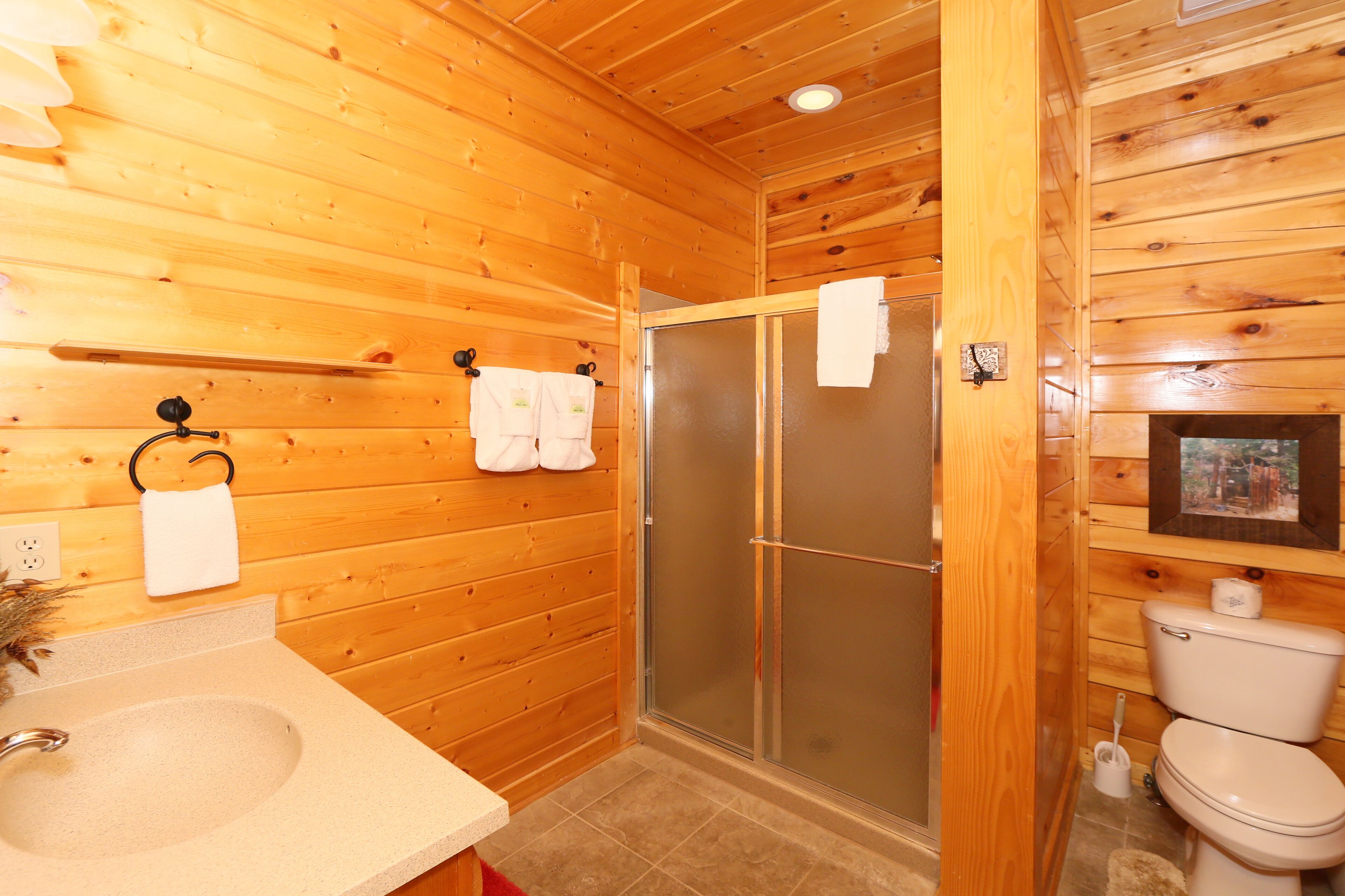 Baño de cabaña de madera con lavamanos, inodoro y ducha con cerramiento de vidrio.