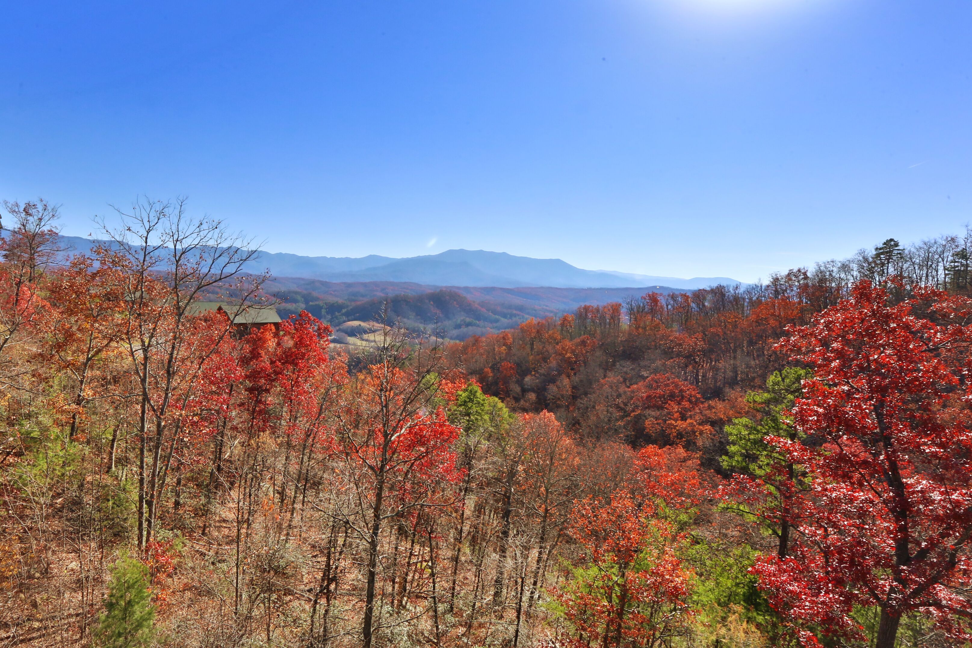 A mountainous landscape with autumn foliage.