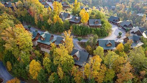 An aerial view of a residential area with houses surrounded by autumn foliage.