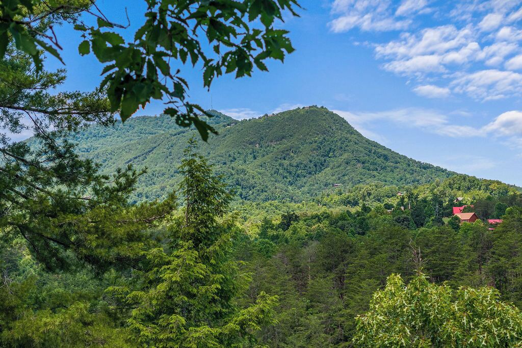 Un paisaje montañoso con denso bosque y algunos edificios en la ladera.