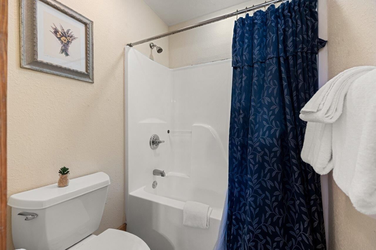Een badkamer met douche, toilet en een ingelijste foto aan de muur.