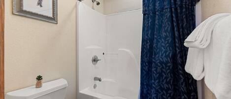 Een badkamer met douche, toilet en een ingelijste foto aan de muur.